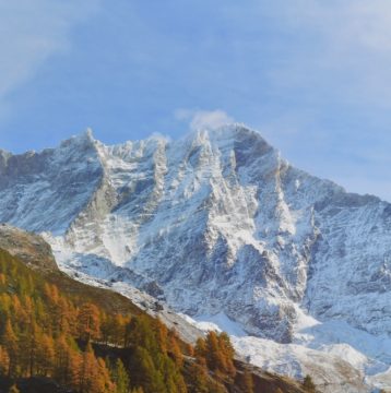 COULEURS D’AUTOMNE Chf 500.—