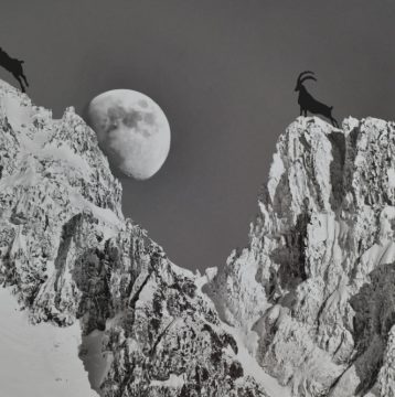LEVER DE LUNE Chf 500.—